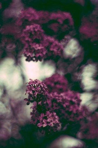 Ира Андреева