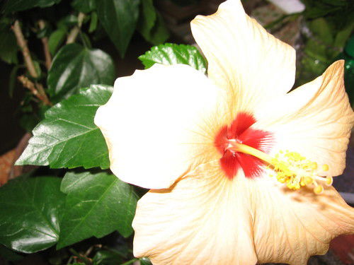 Юлия Минкина