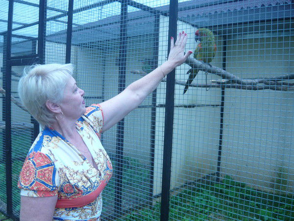 Татьяна Степанова