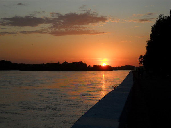 Алла Никифорова