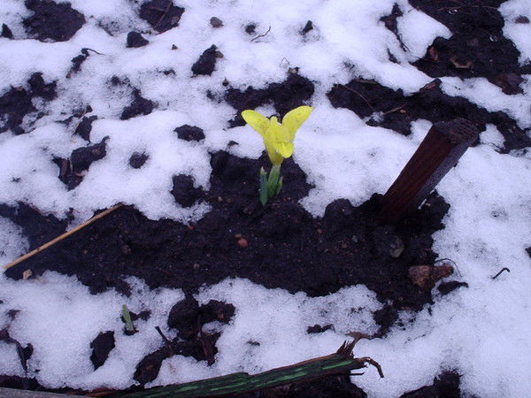 Авто Предприятие