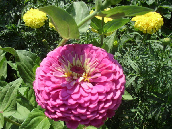 Наталья Рябкова