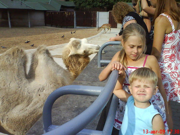 Вероника Брусова