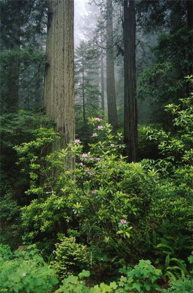 Карташов Сергей