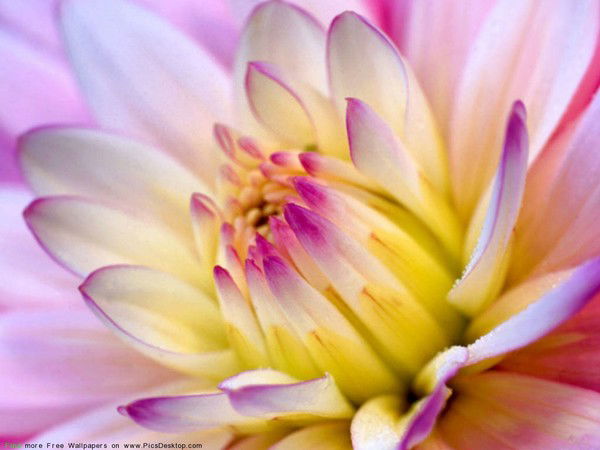 Наталия Астахова