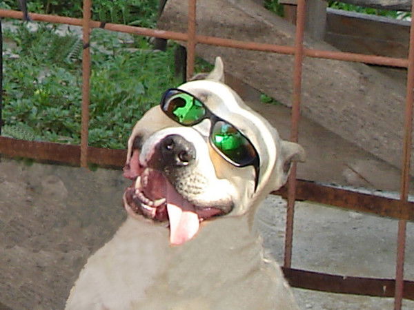 Виталий Зубарев