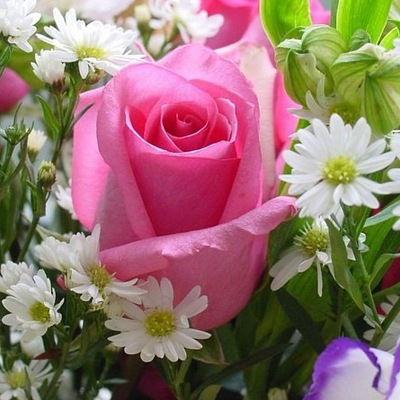 Елена Близнюк