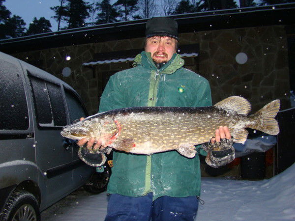 Владимир Кузнецов