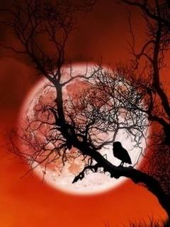 Роман Антонов