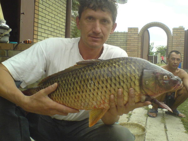 Игорь Могильный