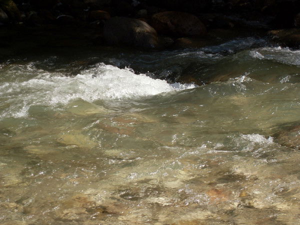 Ирина Ушакова