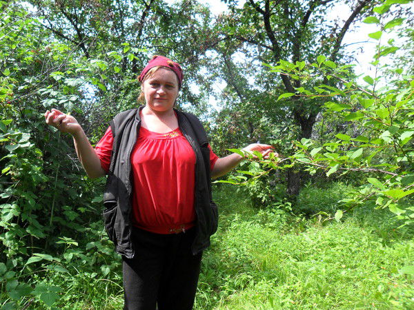 Елена Титова