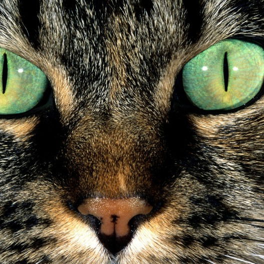 Сергей Ильичев