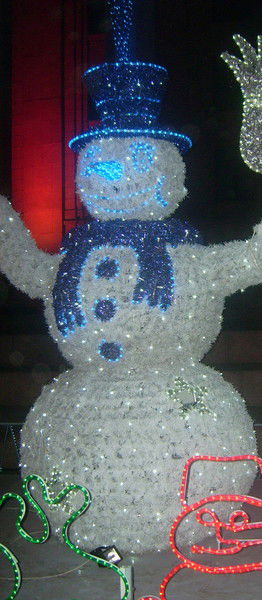 Гульнара Качкынбаева