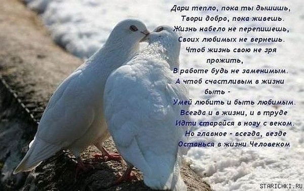 Татьяна Полевая