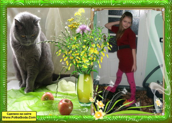 Зайка В Кедах