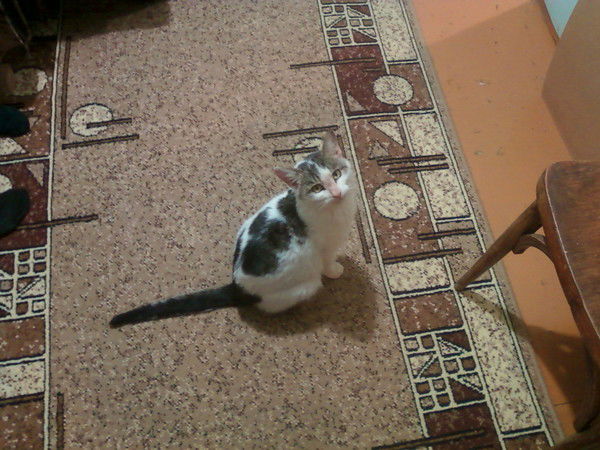 Владимир Борисов