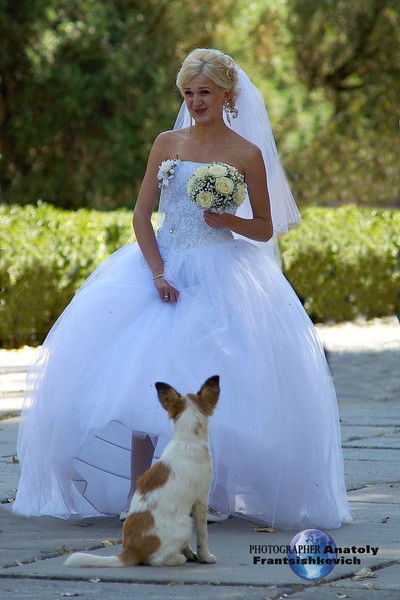 Анатолий Францишкевич