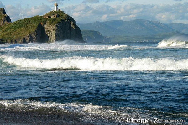 Ирина Докучаева