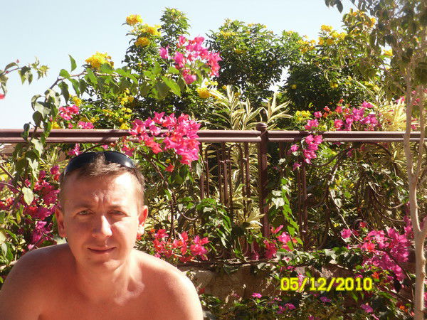 Андрей Галкин