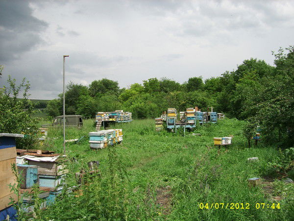 Сергей Овсянников