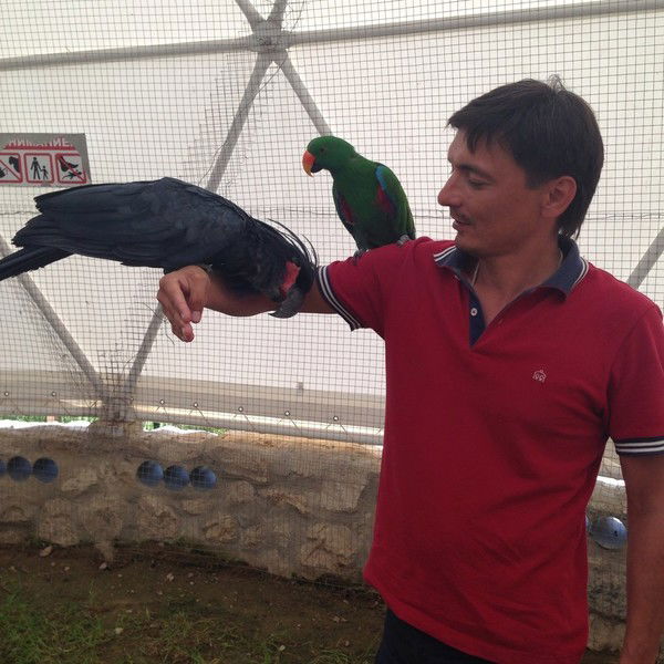 Юрий Васенков