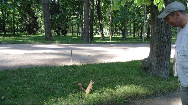 Сергей Ненишин