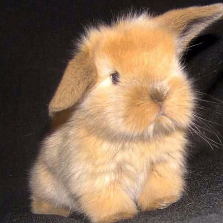 Татьяна Кладова