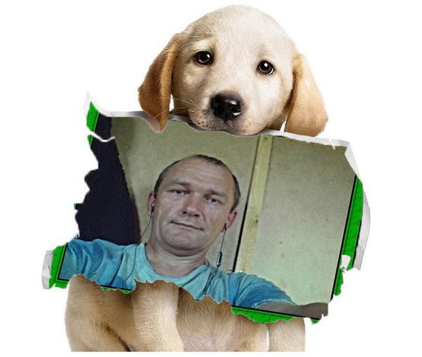 Николай Василенко