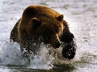 Фаик Илькаев