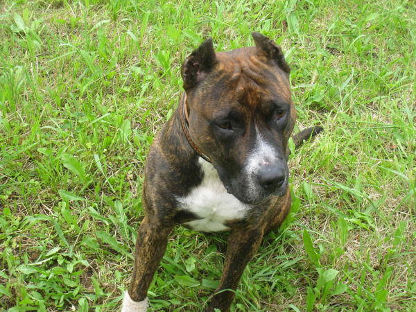 Мариша Касаткина