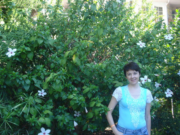 Трикоз Екатерина