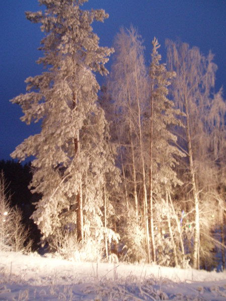 Иван Мартынов