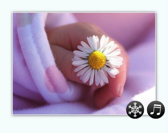 Айгуль Салахова