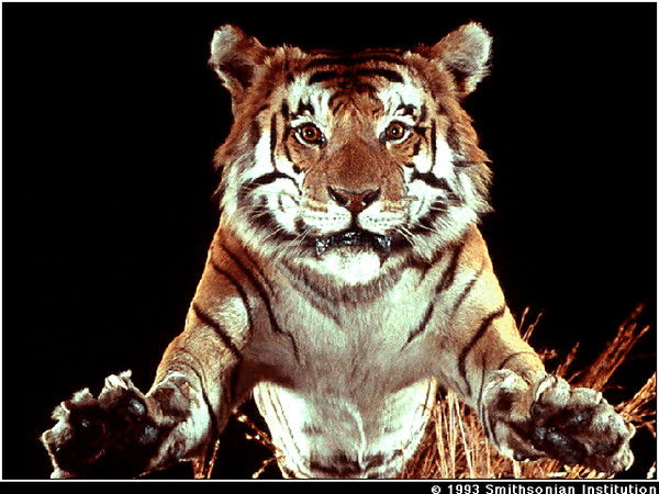 Александр Школа