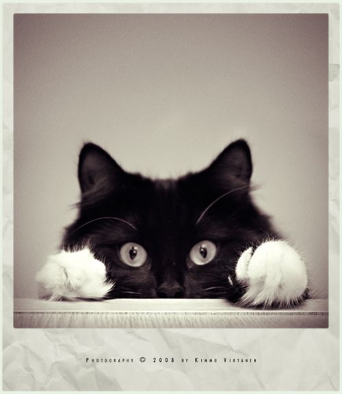 Marakesh-08 Marakesh-08