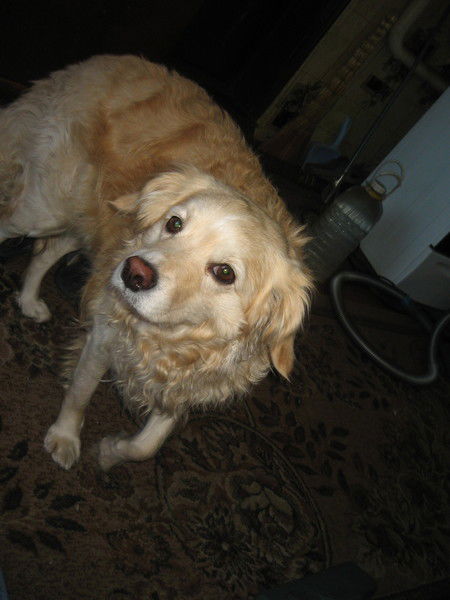 Вера Тиунова