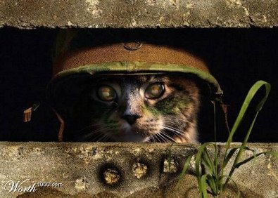 Александр Пуртов