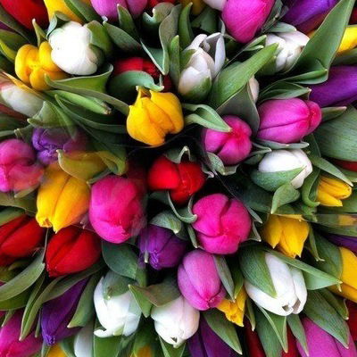 Валерия Пенкина