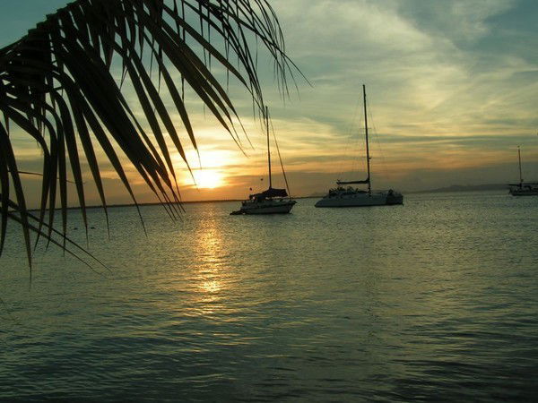 Алексей Чушко