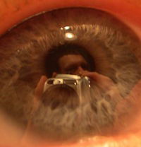 Андрей Лукин