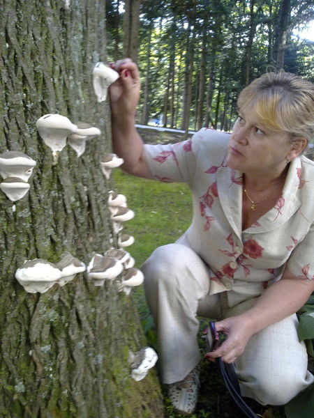 Светлана Стражнова