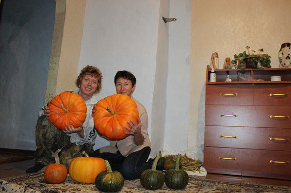 Елена Седова