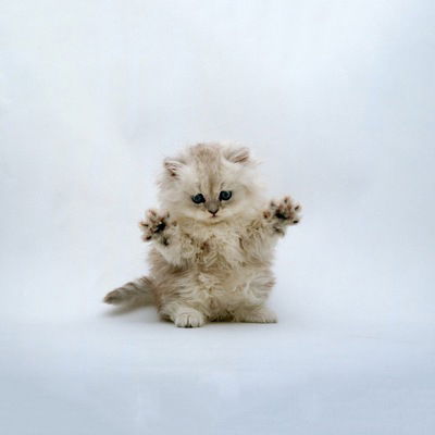 Алёна Борисова