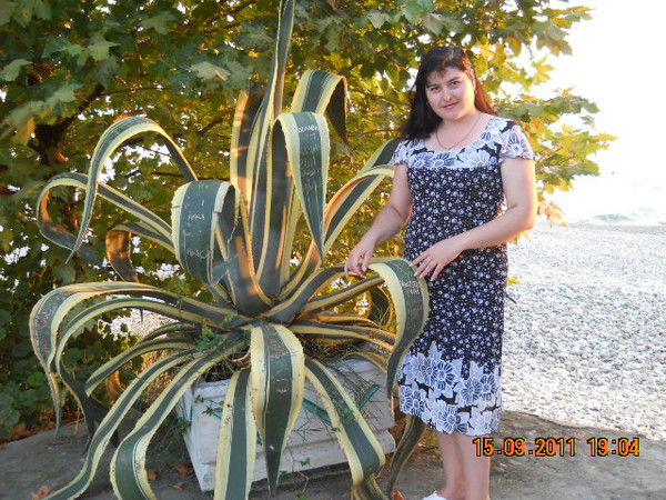 Наталья Солохненко