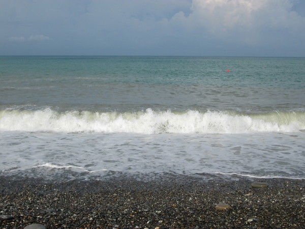 Елена Спиридонова