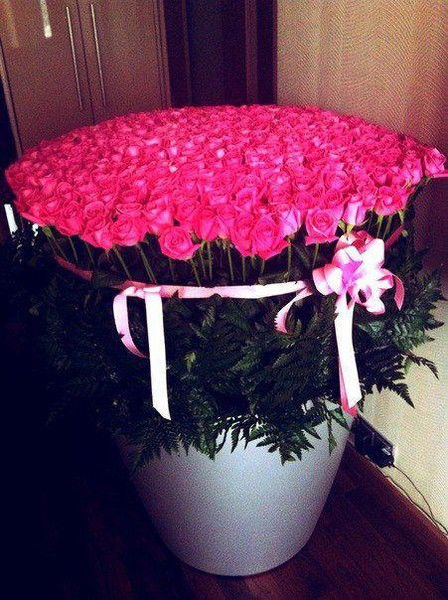 Роза Алиева