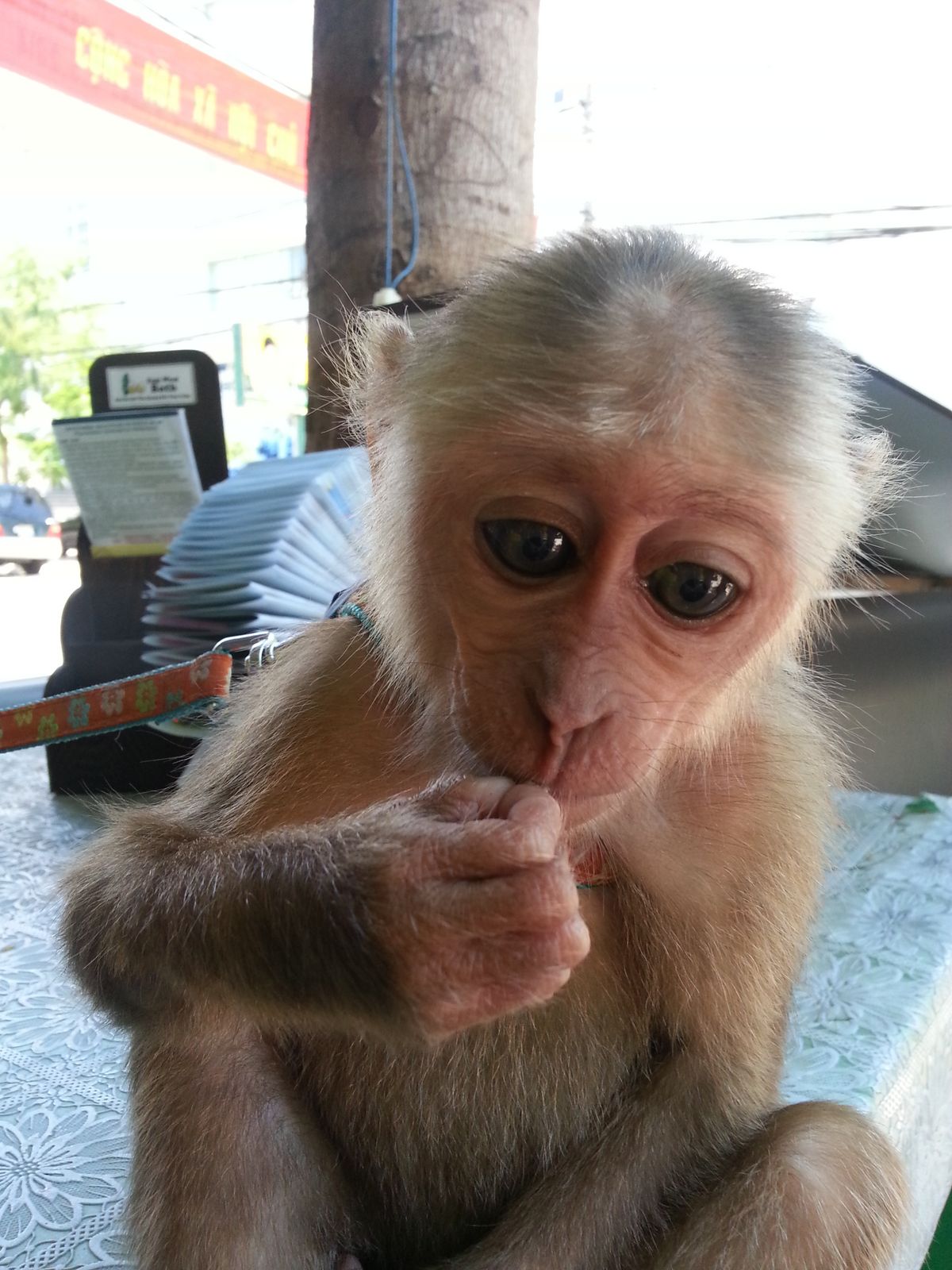 Оксана Епишина