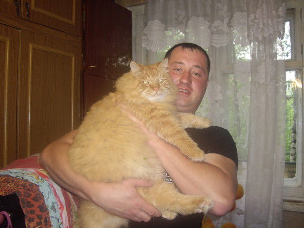 Сергей Бушин