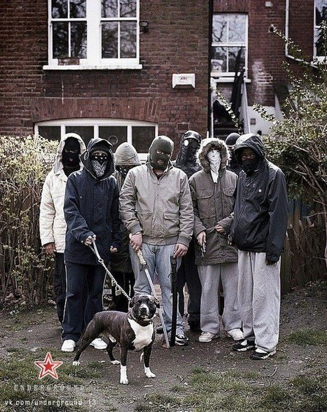 ***евгений Комаров***